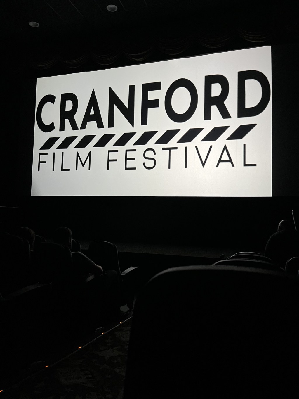 SLEEP UNTIL NOON Wins “Best of Fest” Award for Best Music Video at Cranford Film&nbsp;Festival